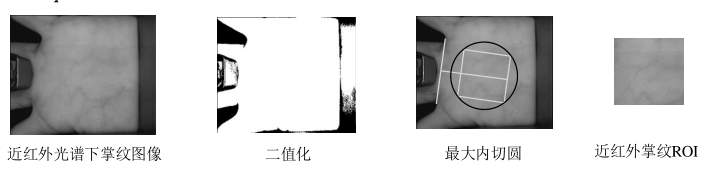 高光譜掌紋roi提取過(guò)程.png