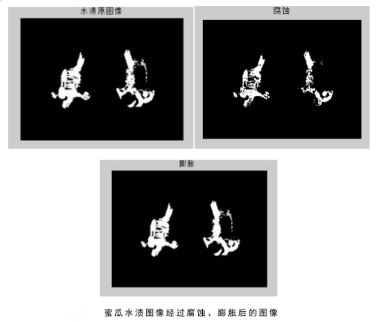 蜜瓜-5.png
